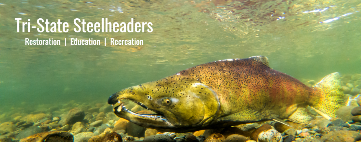 Tri-State Steelheaders